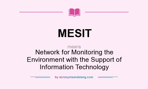 What does MESIT mean? It stands for Network for Monitoring the Environment with the Support of Information Technology