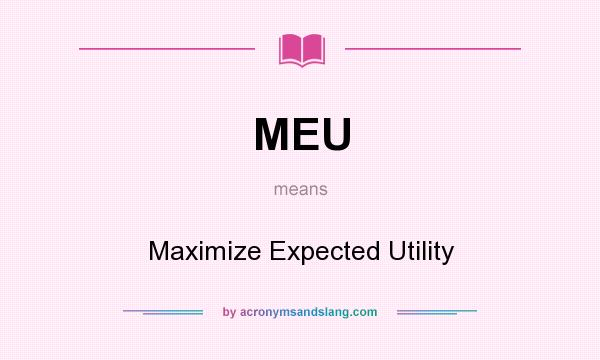What does MEU mean? It stands for Maximize Expected Utility