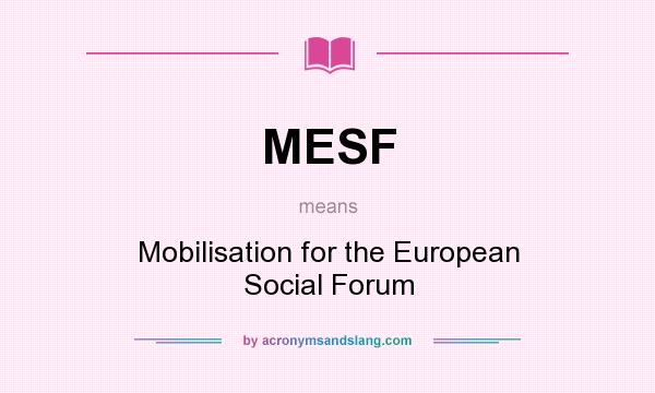 What does MESF mean? It stands for Mobilisation for the European Social Forum