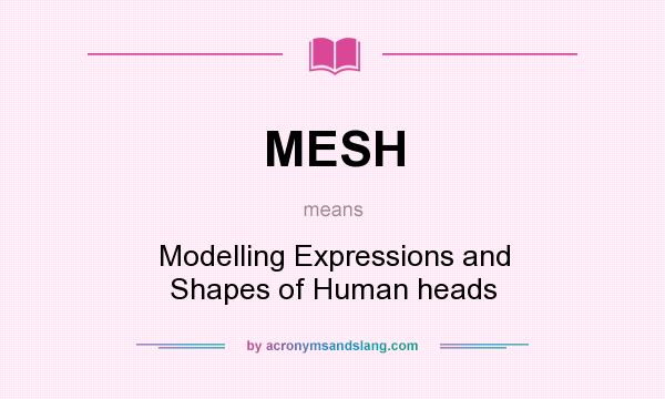 What does MESH mean? It stands for Modelling Expressions and Shapes of Human heads