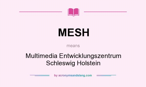 What does MESH mean? It stands for Multimedia Entwicklungszentrum Schleswig Holstein