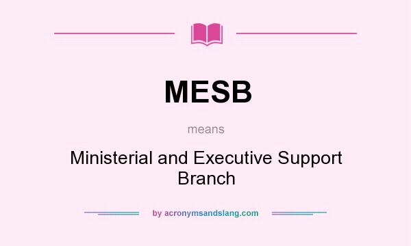 What does MESB mean? It stands for Ministerial and Executive Support Branch