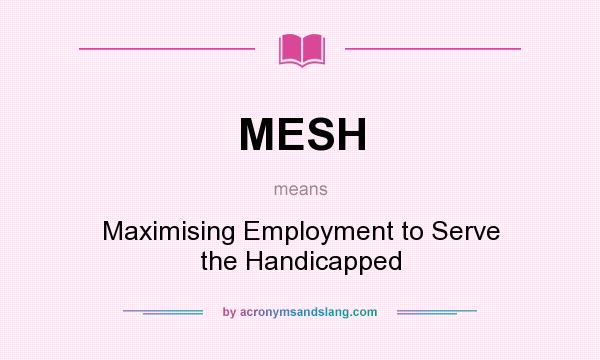 What does MESH mean? It stands for Maximising Employment to Serve the Handicapped