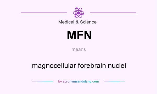 What does MFN mean? It stands for magnocellular forebrain nuclei