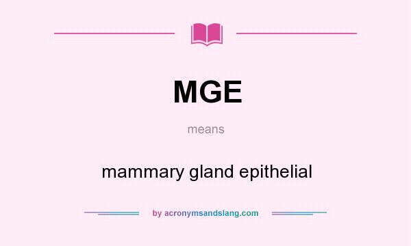 What does MGE mean? It stands for mammary gland epithelial