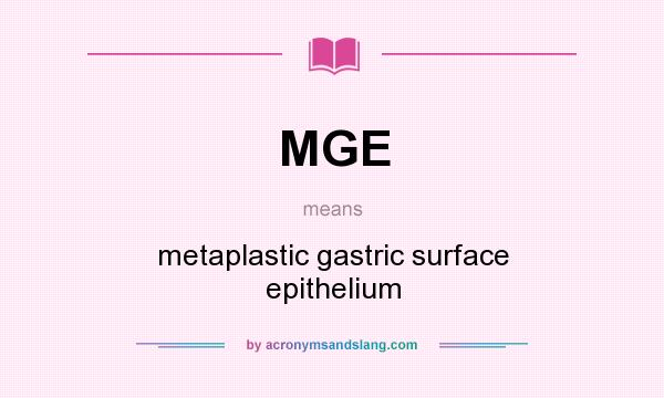 What does MGE mean? It stands for metaplastic gastric surface epithelium