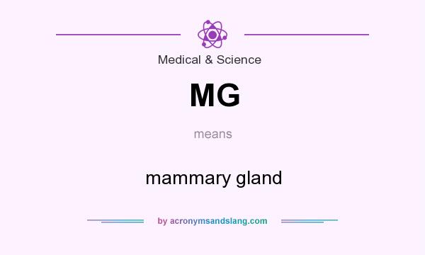 What does MG mean? It stands for mammary gland