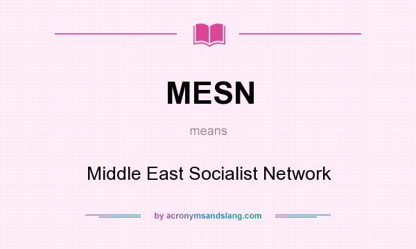 What does MESN mean? It stands for Middle East Socialist Network