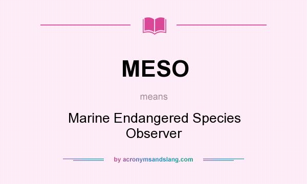 What does MESO mean? It stands for Marine Endangered Species Observer