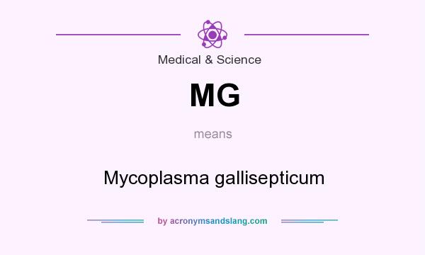 What does MG mean? It stands for Mycoplasma gallisepticum