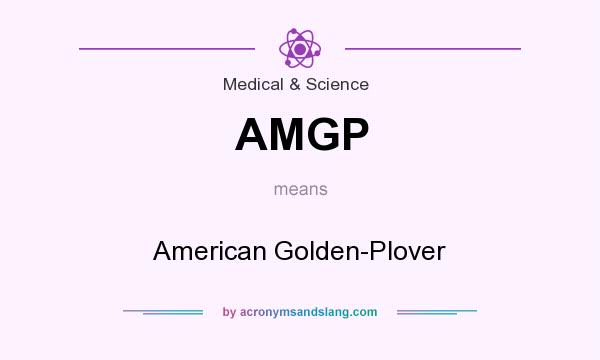 What does AMGP mean? It stands for American Golden-Plover