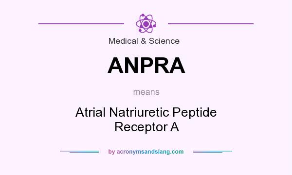 What does ANPRA mean? It stands for Atrial Natriuretic Peptide Receptor A