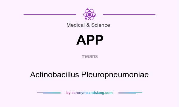 What does APP mean? It stands for Actinobacillus Pleuropneumoniae