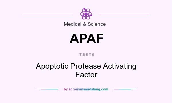 What does APAF mean? It stands for Apoptotic Protease Activating Factor