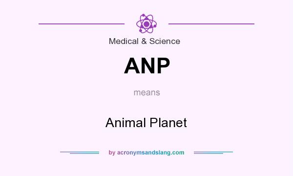 What does ANP mean? It stands for Animal Planet