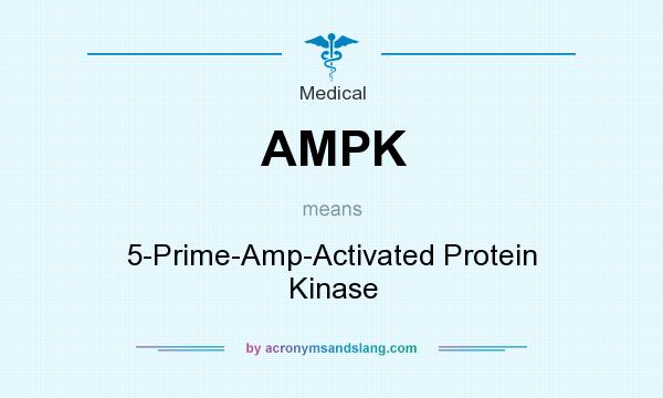 What does AMPK mean? It stands for 5-Prime-Amp-Activated Protein Kinase