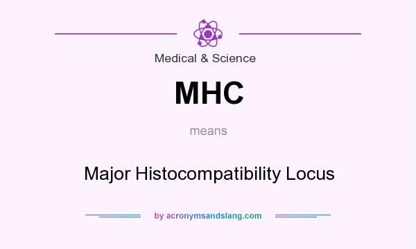 What does MHC mean? It stands for Major Histocompatibility Locus