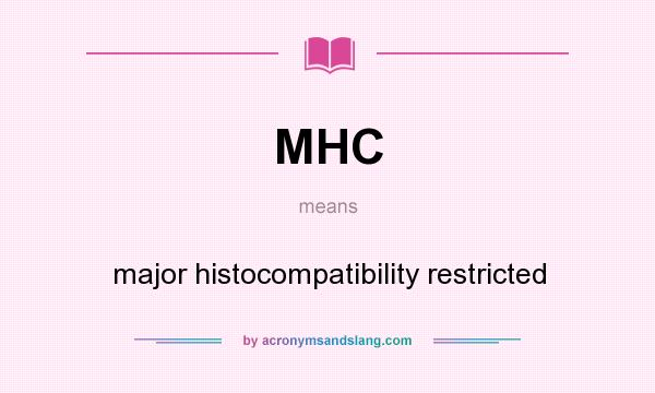 What does MHC mean? It stands for major histocompatibility restricted