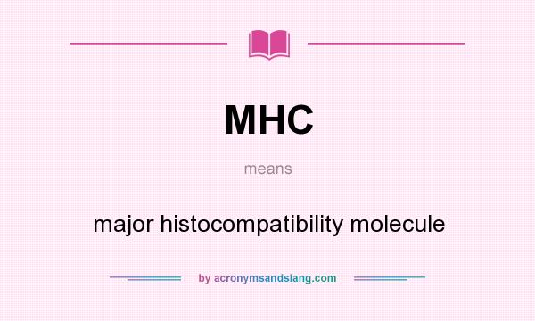 What does MHC mean? It stands for major histocompatibility molecule