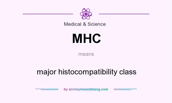 What does MHC mean? It stands for major histocompatibility class