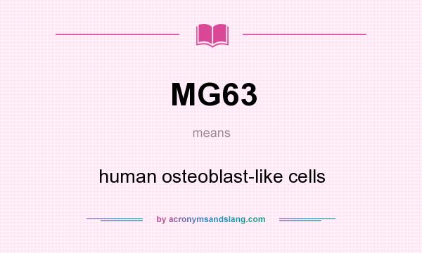What does MG63 mean? It stands for human osteoblast-like cells