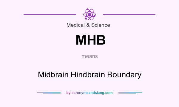 What does MHB mean? It stands for Midbrain Hindbrain Boundary