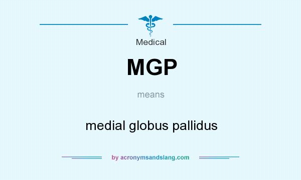 What does MGP mean? It stands for medial globus pallidus