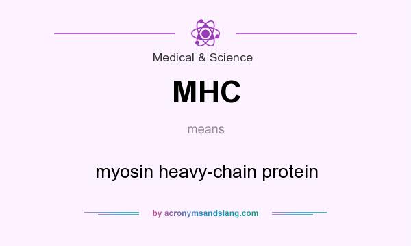 What does MHC mean? It stands for myosin heavy-chain protein