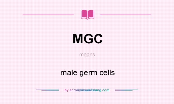 What does MGC mean? It stands for male germ cells