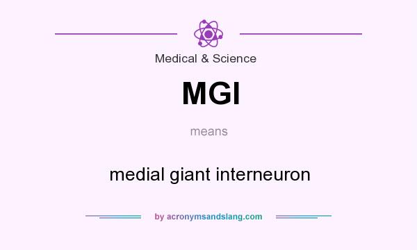 What does MGI mean? It stands for medial giant interneuron