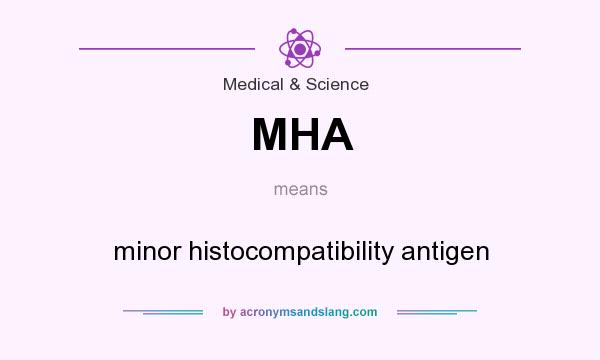 What does MHA mean? It stands for minor histocompatibility antigen