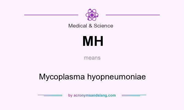 What does MH mean? It stands for Mycoplasma hyopneumoniae