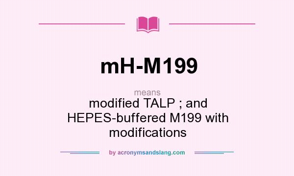 What does mH-M199 mean? It stands for modified TALP ; and HEPES-buffered M199 with modifications