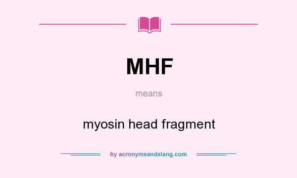 What does MHF mean? It stands for myosin head fragment