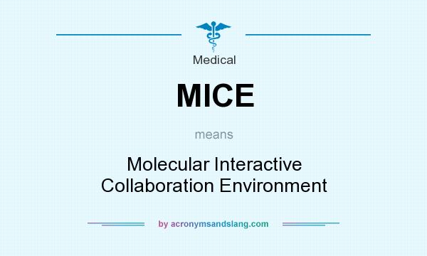What does MICE mean? It stands for Molecular Interactive Collaboration Environment