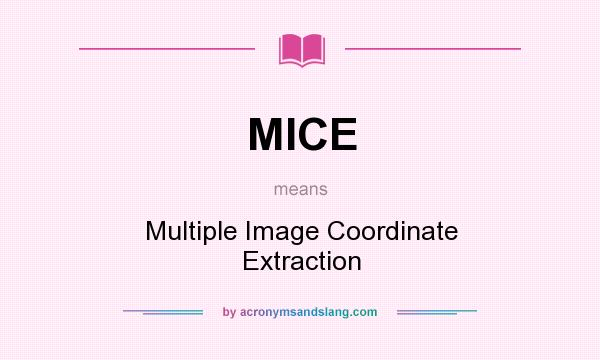What does MICE mean? It stands for Multiple Image Coordinate Extraction