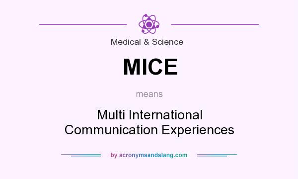 What does MICE mean? It stands for Multi International Communication Experiences