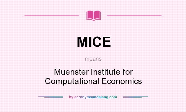 What does MICE mean? It stands for Muenster Institute for Computational Economics