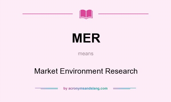 What does MER mean? It stands for Market Environment Research