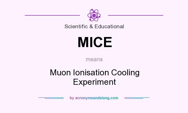 What does MICE mean? It stands for Muon Ionisation Cooling Experiment
