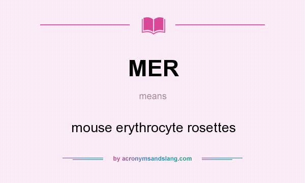 What does MER mean? It stands for mouse erythrocyte rosettes