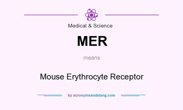 What does MER mean? It stands for Mouse Erythrocyte Receptor