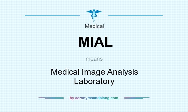 What does MIAL mean? It stands for Medical Image Analysis Laboratory
