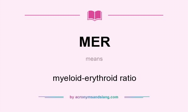 What does MER mean? It stands for myeloid-erythroid ratio