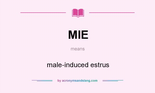 What does MIE mean? It stands for male-induced estrus