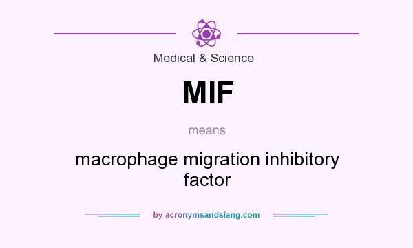 What does MIF mean? It stands for macrophage migration inhibitory factor