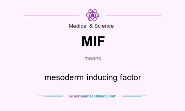What does MIF mean? It stands for mesoderm-inducing factor