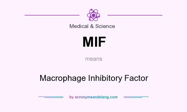 What does MIF mean? It stands for Macrophage Inhibitory Factor