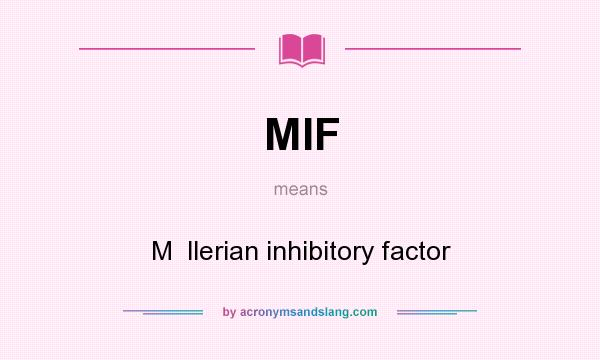 What does MIF mean? It stands for M  llerian inhibitory factor