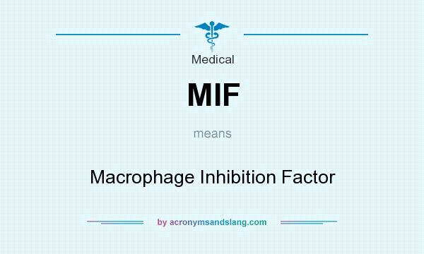 What does MIF mean? It stands for Macrophage Inhibition Factor